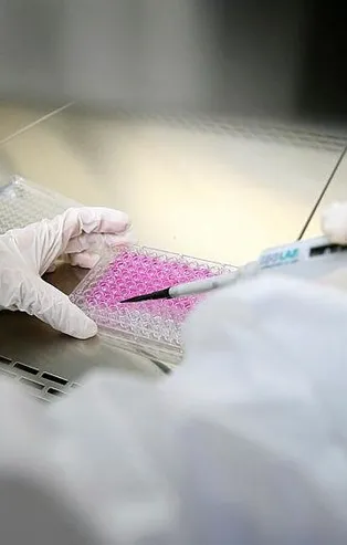 Sağlık Bakanı Fahrettin Koca duyurdu! DSÖ: Türkiye, uygulamalarıyla birçok ülkeye örnek oldu