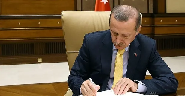 Başkan Erdoğan "Nevruz" kitabına takdim yazısı kaleme aldı: "Tek parti zihniyetini tarihin çöplüğüne gömdük'