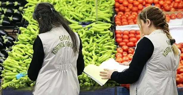 Tarım Bakanlığı hileli gıda listesini güncelledi: Gıdada ilaç, köftede at-eşek eti!