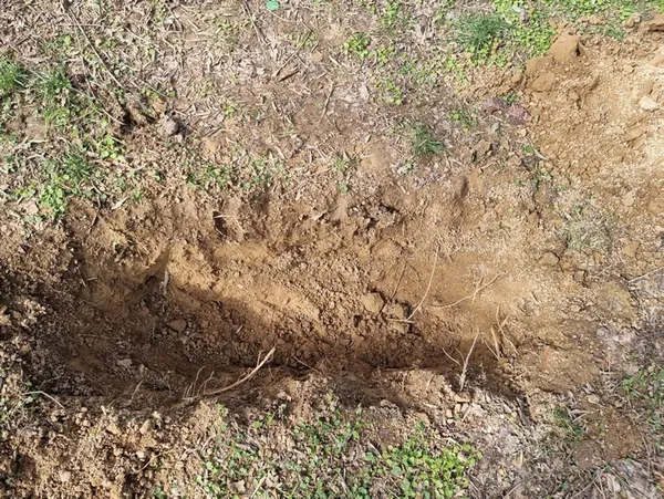 apartta-korkunc-cinayet-alman-sevgilisini-kiskandi-arkadasini-oldurup-cinsel-organini-kesti-cesedi-gommek-icin-1643455530919.jpg Apartta korkunç cinayet! Alman sevgilisini kıskandı, arkadaşını öldürüp cinsel organını kesti! Cesedi gömmek için...-3