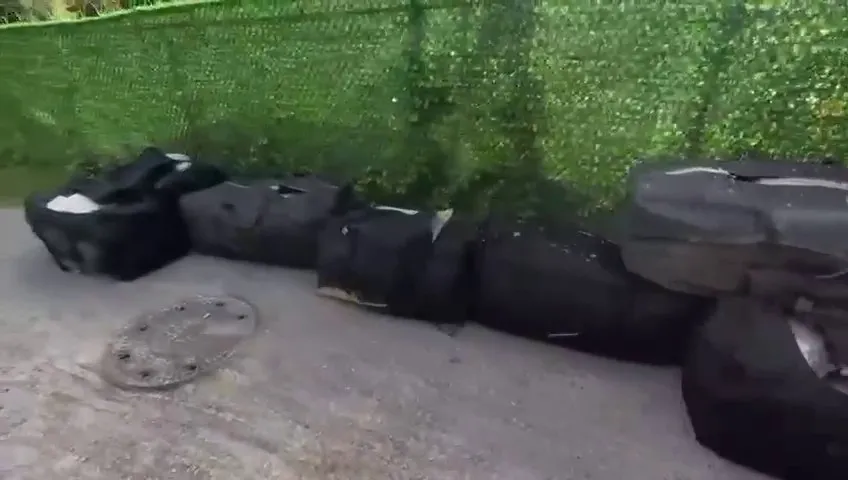 beykozda-iki-aracta-409-kilo-600-gram-skunk-ele-gecirildi-3-gozalti-1789322989540.jpeg Beykoz'da iki araçta 409 kilo 600 gram skunk ele geçirildi, 3 gözaltı-4