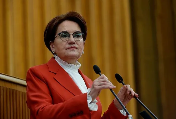 Meral Akşener'in "mağdur çiftçi" rolünde kürsüye çıkardığı Mustafa Boyraz'ın sicili kabarık çıktı: Zorbalık, tehdit, sarkıntılık...-5