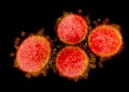 Koronavirüs hava yoluyla bulaşır mı? DSÖ açıkladı