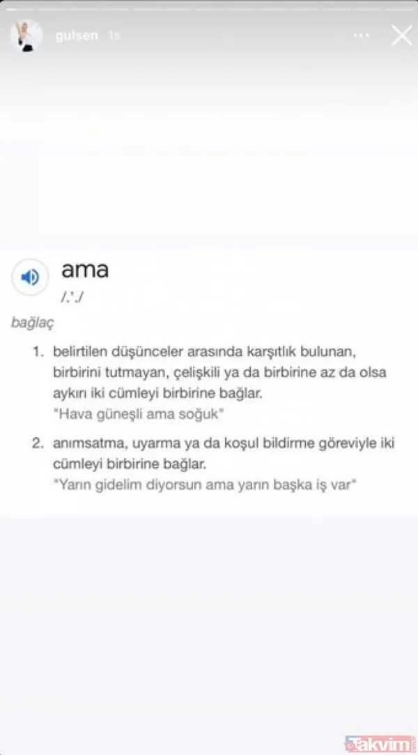 Seren Serengil de açtı belden aşağısı olay oldu sosyal medyada yorum yağdı: "Aaa Gülşen Serengil" - 18