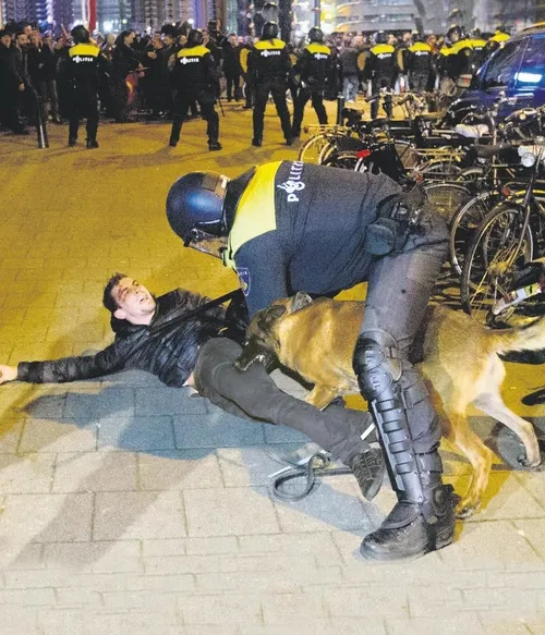 İt is Rutte!-1