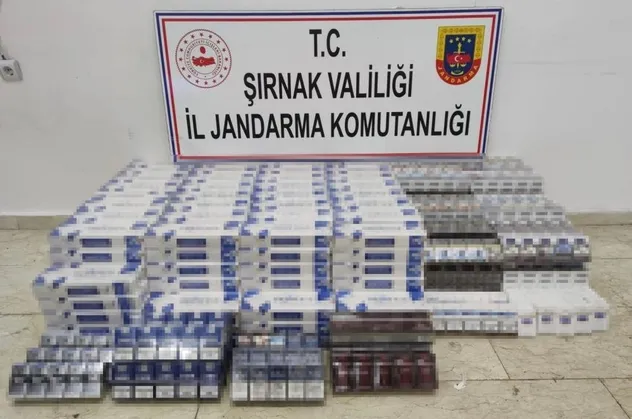 Son dakika: Şırnak’ta terör operasyonu! Çok sayıda uzun namlulu silah ele geçirildi: 87 gözaltı
