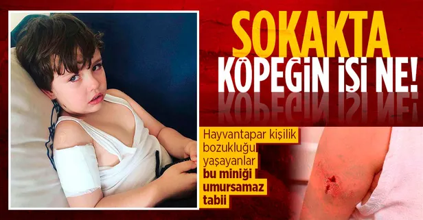 Zonguldak’ta sahipsiz köpek saldırısı! 5 yaşındaki çocuk yaralandı