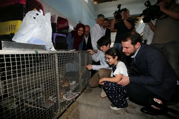 Bakan Albayrak'tan yavru köpeğe işkence açıklaması-2