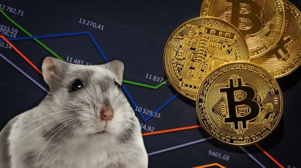 hamster-coin-nedir-nereden-alinir-hamster-coin-fiyatlari-ne-kadar-kac-tl-elon-muskdan-yeni-kripto-paylasimi-1634552914780.jpg Hamster Coin fiyatları ne kadar, kaç TL? Hamster Coin nedir, nereden alınır? Elon Musk'dan yeni kripto paylaşımı!-2