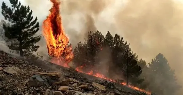 Elazığ’da orman yangını: Çok sayıda ekip bölgede