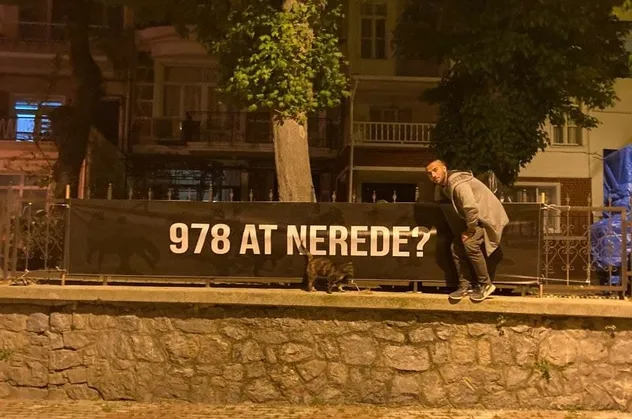 Adalar'da CHP'li İBB'ye at isyanı! Ekrem İmamoğlu yönetimine pankartlı tepki: 978 at nerede?