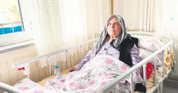 Saldırdığı yaşlı kadının bacağının kesilmesine neden olan Pitbull’un sahiplerine ödül gibi ceza! Talihsiz nine isyan etti