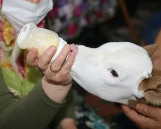 Bakan Pakdemirli’den ’Mülayim’e altın hediyesi!