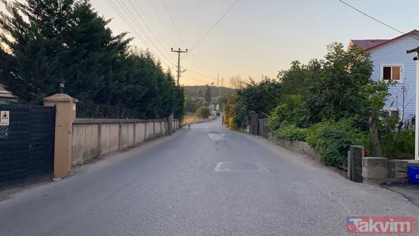 Cinsel istismara direndi kafasına defalarca taşla vurdu! Ayşegül yaşam savaşını kaybetti - 13