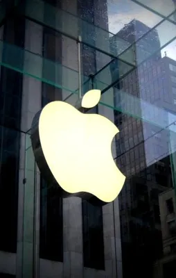 Apple'a bir darbe de Fransa'dan