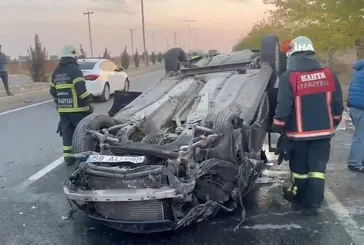 Başıboş sorun can alıyordu