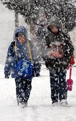 Bingöl'de okullar 2 gün tatil