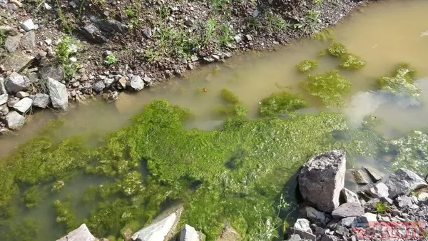 İSKİ'nin son skandalı! Kanalizasyon suları Ömerli Barajı'na akıyor - 8