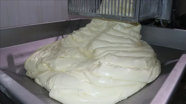 turkiyede-tereyagi-ve-inek-peyniri-uretiminde-son-10-yilin-rekoru-kirildi-1613119199619.jpg Türkiye'de tereyağı ve inek peyniri üretiminde son 10 yılın rekoru kırıldı-3