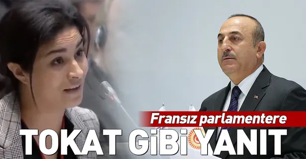 Dışişleri Bakanı Mevlüt Çavuşoğlu'ndan Fransız parlamentere tokat gibi yanıt
