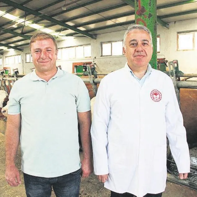 Devlet desteği işlerini büyüttü