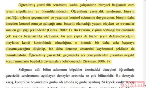 CHP'li İBB Başkanı Ekrem İmamoğlu'nun eşi Dilek İmamoğlu'nun tezinde sayfalarca intihal çıktı - 17