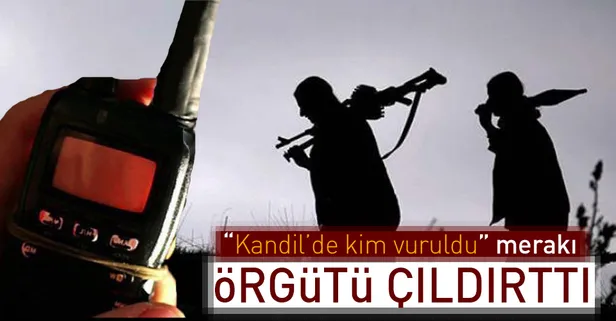 “Kandil’de kim vuruldu” merakı örgütü çıldırttı