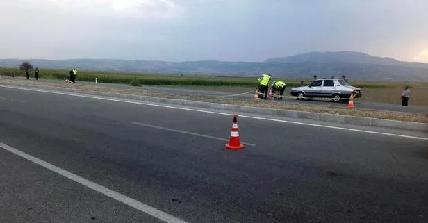 Kaplumbağayı kurtarmak isterken canından oldu