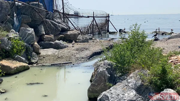 Marmara Denizi'nden müsilaj temizlenmeye çalışılırken Kalamış'taki dereden beyaz su aktı - 9