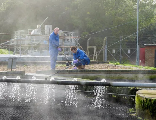 Kovid-19 insan gazıyla yayılıyor