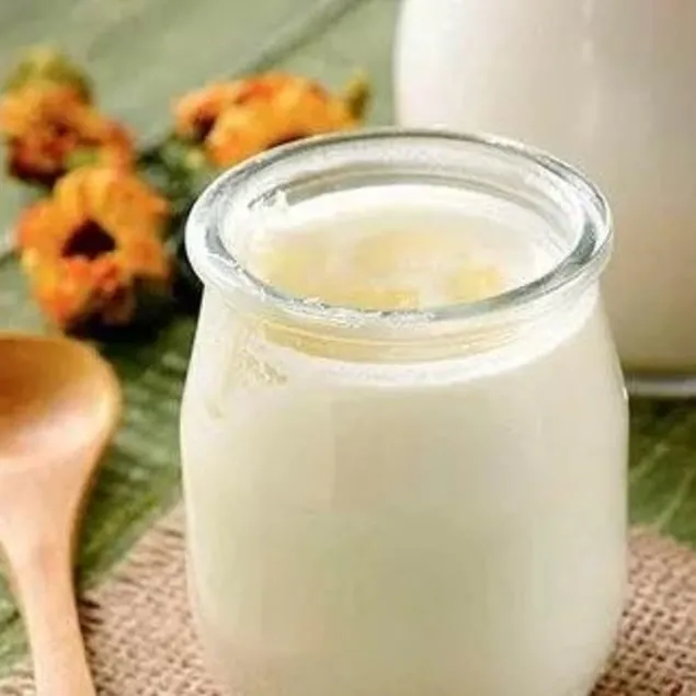 Bağışıklık için kefir için