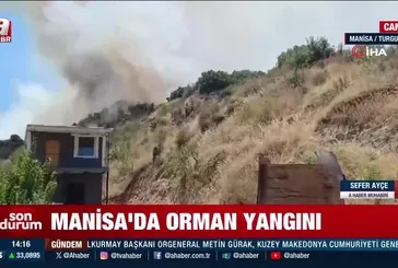 Manisa'da orman yangını!