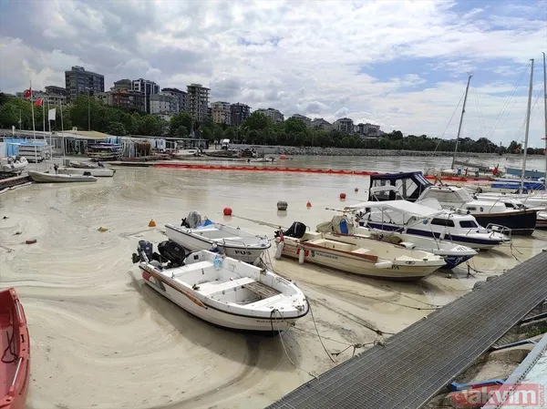 Caddebostan Sahili'nde müsilaj yoğunluğu arttı! Tabloya benzer görüntüler oluştu - 23