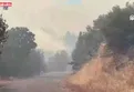 Çanakkale Ayvacık Ahmetçe'de orman yangını