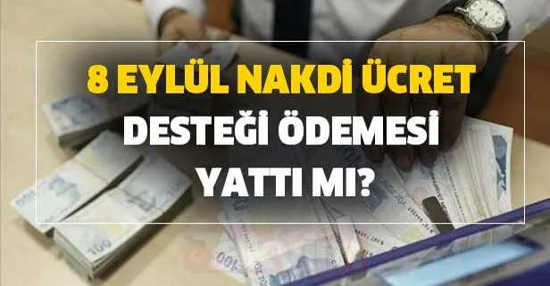 IBAN bilgisi eksik veya hatalı ise nakdi destek ödemesini nasıl, nereden alacağım? 9 Eylül nakdi ücret desteği...