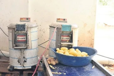 Sağlıksız 1.5 ton patates yakalandı