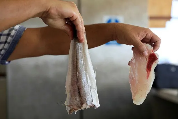 Zehirli balon balığıyla ilgili vatandaşlara kritik uyarı: Filetosundan ayırt etmek imkansız-3