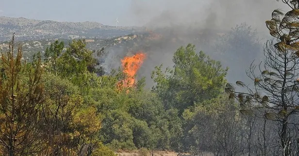Çanakkale Ezine'deki orman yangını kontrol altına alındı