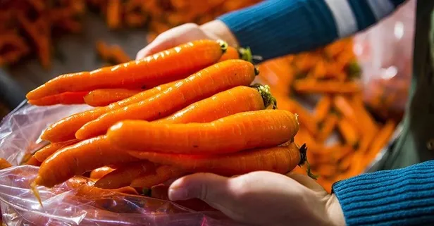Gençlik iksiri havuç şifa saçıyor! İşte saymakla bitmeyen faydaları