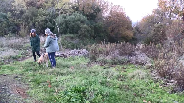 istanbulda-dehset-goruntu-yemek-yerken-tekrar-dusunun-sariyerde-yol-kenarinda-kesilmis-at-parcalari-bulundu-1637658829947.jpg İstanbul'da dehşet görüntü! Yemek yerken tekrar düşünün: Sarıyer'de yol kenarında kesilmiş at parçaları bulundu-9