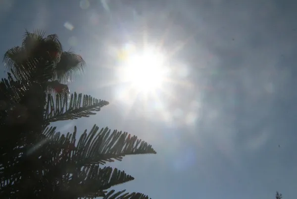 adanada-termometreler-32-dereceyi-gosterdi-6-subat-hava-durumu-1612618787964.jpg Adana'da termometreler 32 dereceyi gösterdi! 6 Şubat hava durumu-3