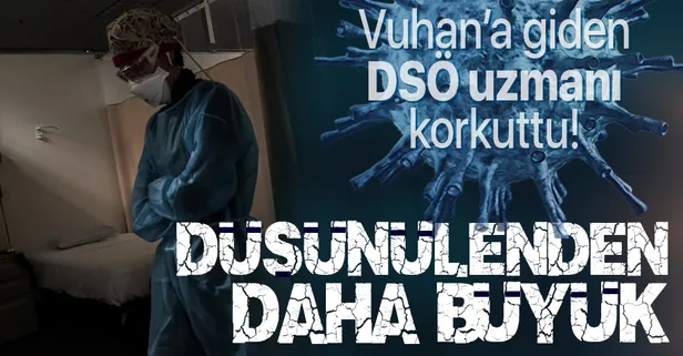 Koronavirüsün çıkış noktası Vuhan'a giden DSÖ uzmanından çok çarpıcı açıklama: Salgının boyutu düşünülenden daha büyük
