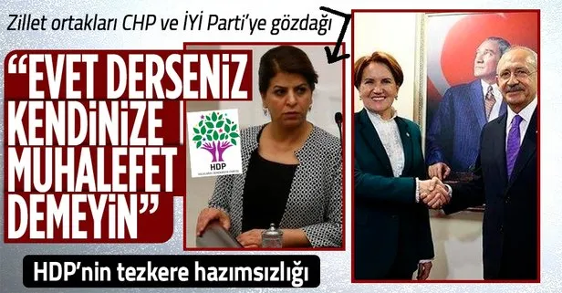 HDP’li Sibel Yiğitalp’ten CHP ve İYİ Parti’ye ’tezkere’ gözdağı!