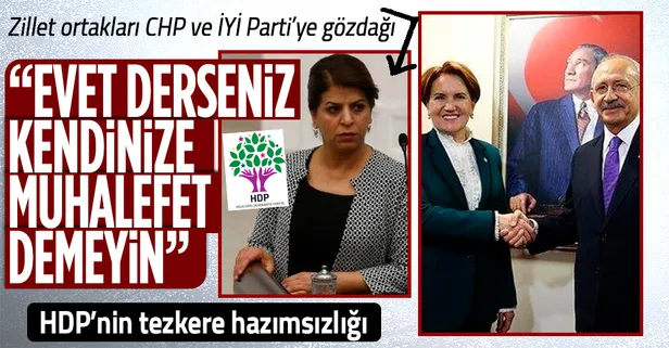 HDP'li Sibel Yiğitalp'ten CHP ve İYİ Parti'ye 'tezkere' gözdağı!