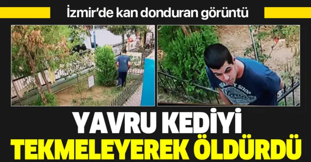 İzmir'de vahşet! Yavru kediyi tekmeleyerek öldürdü