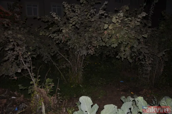 SON DAKİKA: Ordu'da kan donduran olay: Fındık bahçesine gömülü yeni doğmuş bebek cesedi bulundu! 2 kız kardeş gözaltında - 5