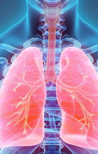 Rüyada ciğer görmek ne anlama gelir?