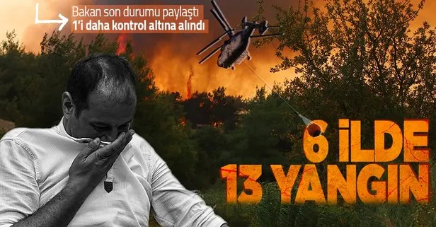 Türkiye'deki orman yangınlarında son durum!
