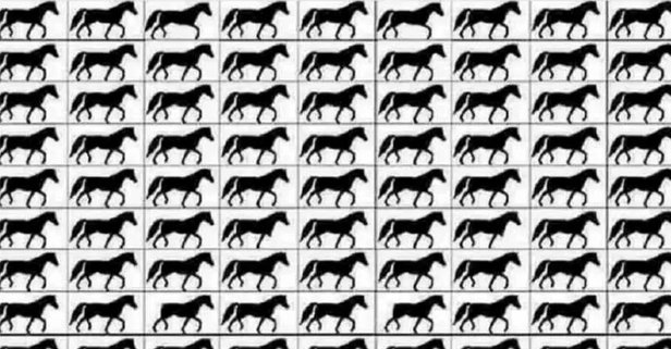 Resimdeki 3 ayaklı 9 atı yalnızca yüksek IQ’su olanlar 18 saniyede buluyor