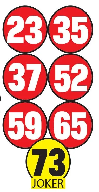 İstanbul Beykoz'da kira cinayeti (Yaşam haberleri)-3